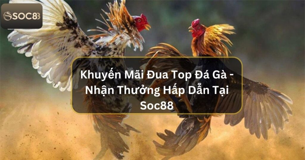 Khuyến Mãi Đua Top Đá Gà - Nhận Thưởng Hấp Dẫn Tại Soc88