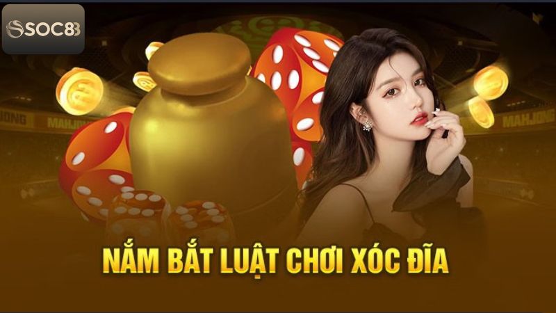 Luật chơi Xóc đĩa - Quy trình diễn ra ván cược