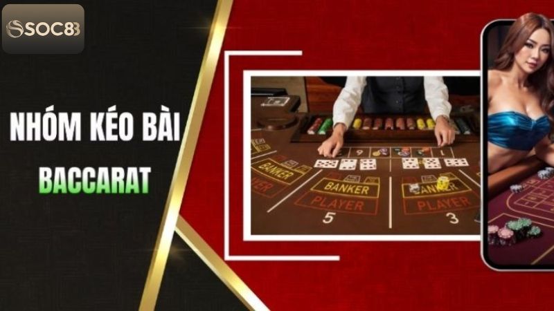 Thông tin về các group kéo Baccarat